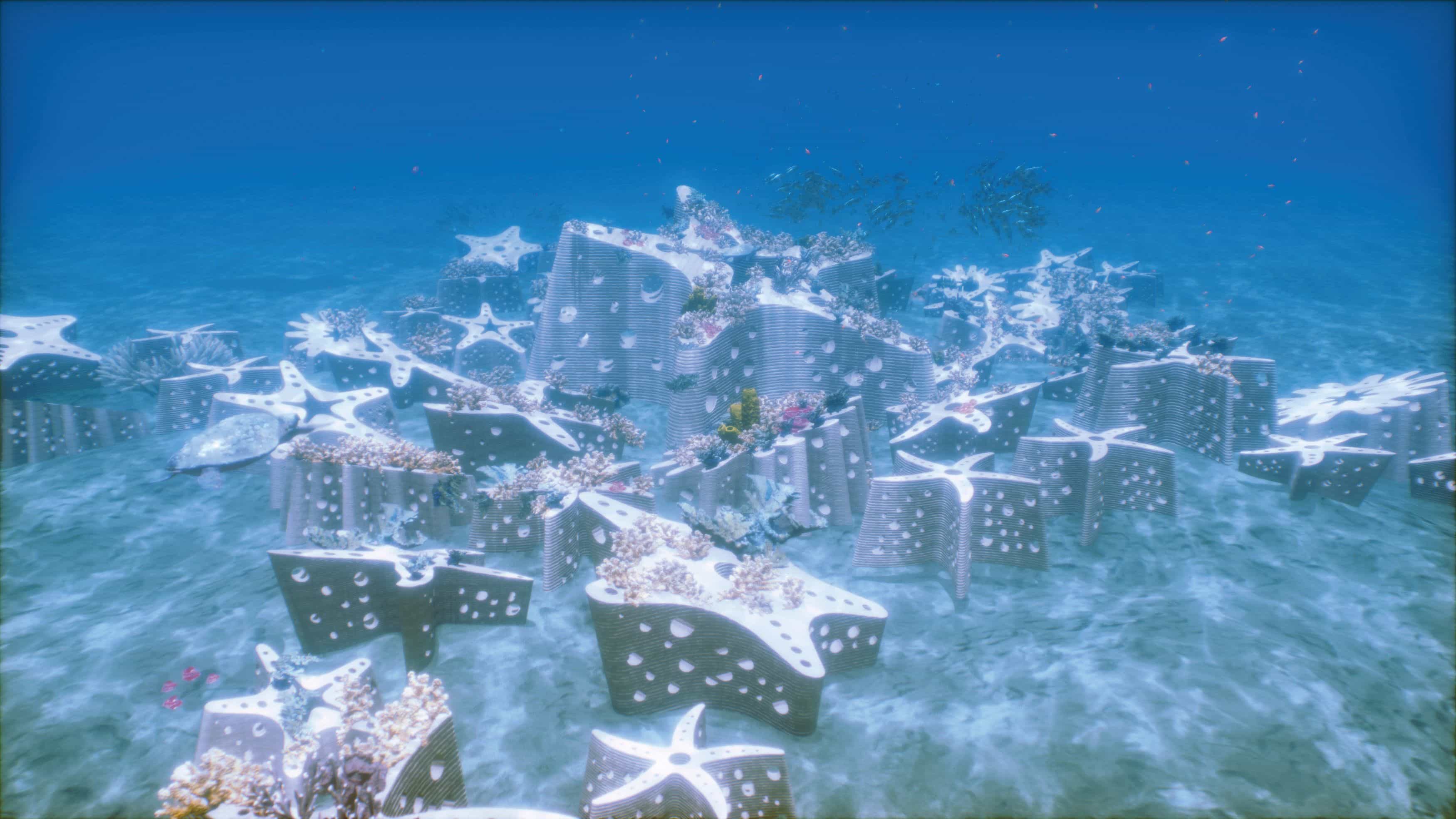The Miami Reef Star