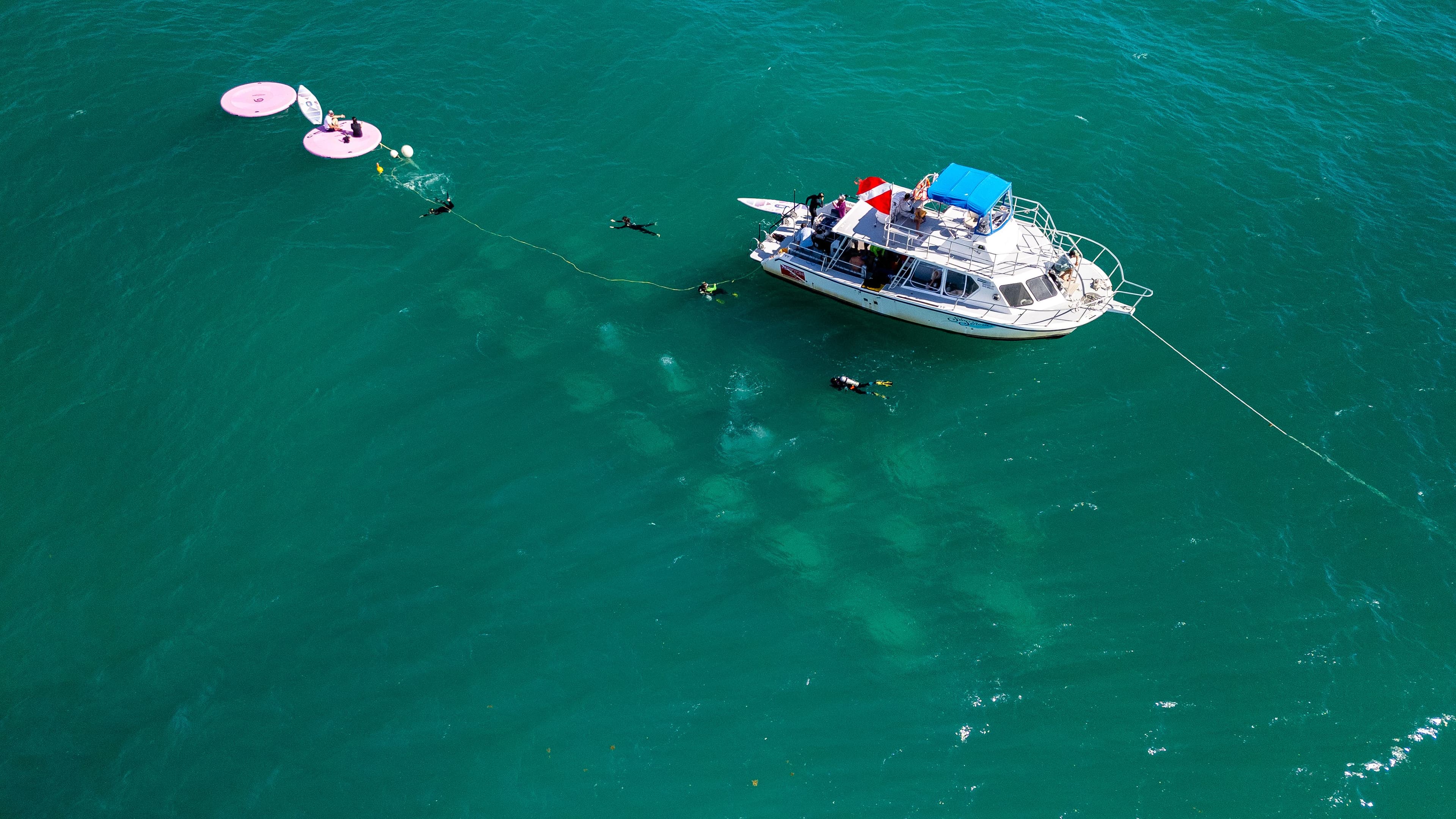 Boat Tours